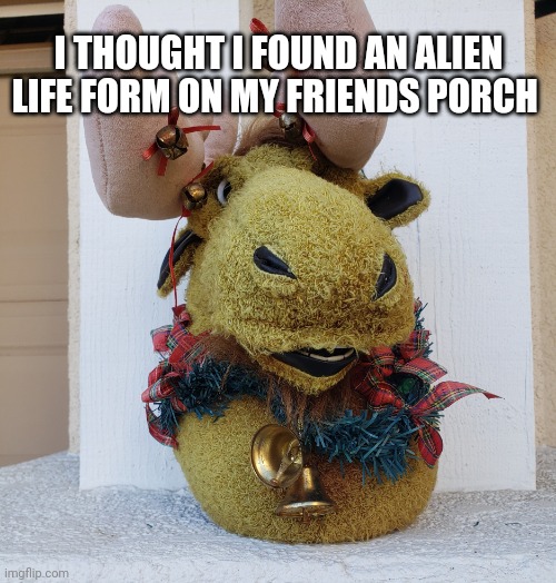 Alien Christmas | I THOUGHT I FOUND AN ALIEN LIFE FORM ON MY FRIENDS PORCH | image tagged in alien christmas | made w/ Imgflip meme maker