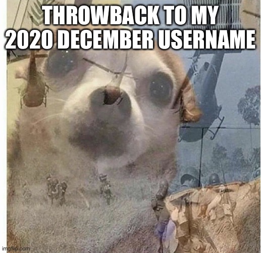 If you remember ya remember | THROWBACK TO MY 2020 DECEMBER USERNAME | image tagged in ptsd chihuahua | made w/ Imgflip meme maker