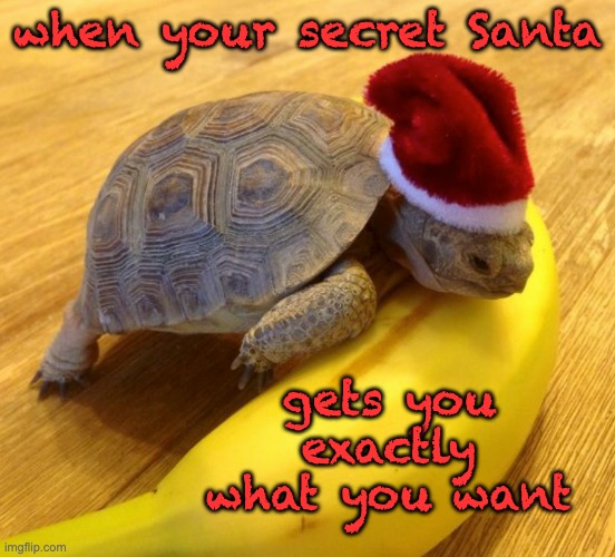 The spirit of turtle Christmas wishes you many treats |  when your secret Santa; gets you exactly what you want | image tagged in holidays,treats,christmas,turtle,cute | made w/ Imgflip meme maker