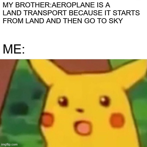 aeroplane meme | MY BROTHER:AEROPLANE IS A 
LAND TRANSPORT BECAUSE IT STARTS
FROM LAND AND THEN GO TO SKY; ME: | image tagged in memes,surprised pikachu | made w/ Imgflip meme maker