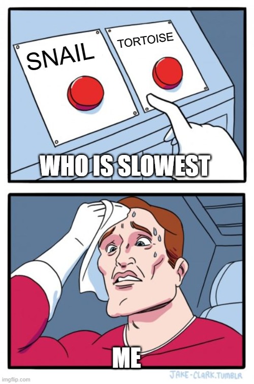 who is it? send ans in comments | TORTOISE; SNAIL; WHO IS SLOWEST; ME | image tagged in memes,two buttons | made w/ Imgflip meme maker