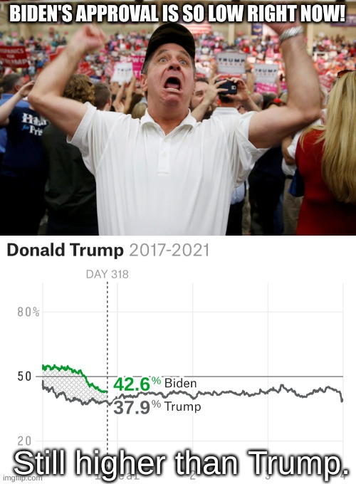 Biden's approval is low, but at least he cracked 50%. | BIDEN'S APPROVAL IS SO LOW RIGHT NOW! Still higher than Trump. | image tagged in trump supporter triggered,biden approval,trump approval,joe biden,donald trump | made w/ Imgflip meme maker