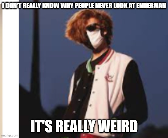 LOOK AT HIS BEAUTIFUL FACE | I DON'T REALLY KNOW WHY PEOPLE NEVER LOOK AT ENDERMAN; IT'S REALLY WEIRD | image tagged in ranboo | made w/ Imgflip meme maker