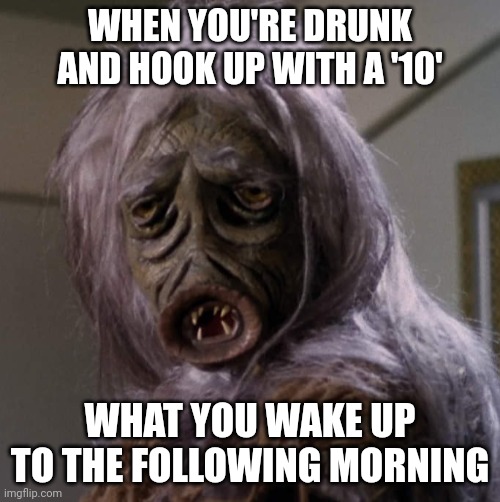 Drunk and Doing | WHEN YOU'RE DRUNK AND HOOK UP WITH A '10'; WHAT YOU WAKE UP TO THE FOLLOWING MORNING | image tagged in memes,funny memes,go home youre drunk,drunk girl,wasted,perfect | made w/ Imgflip meme maker
