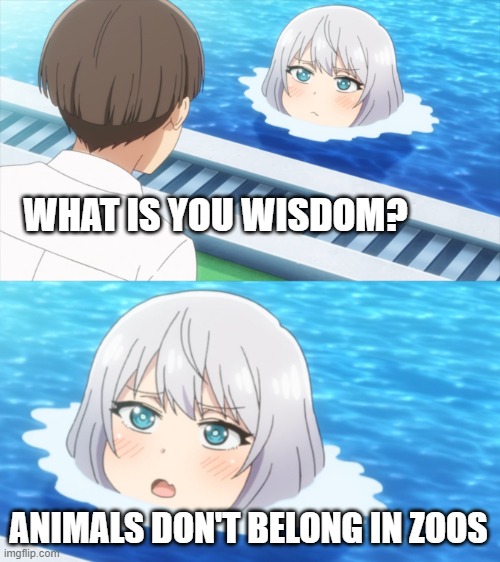 *agrees in dragon* | WHAT IS YOU WISDOM? ANIMALS DON'T BELONG IN ZOOS | image tagged in senpai what is your wisdom | made w/ Imgflip meme maker