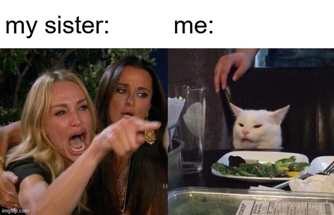family problem | my sister:; me: | image tagged in memes,woman yelling at cat | made w/ Imgflip meme maker