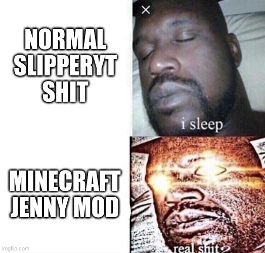 i sleep real shit | NORMAL SLIPPERYT SHIT; MINECRAFT JENNY MOD | image tagged in i sleep real shit | made w/ Imgflip meme maker