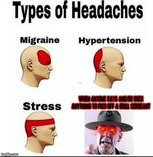 Be very careful what you say or do when you're around any authoritarian figure of any type | when anyone says and/or does anything to piss off a drill sergeant | image tagged in types of headaches meme,memes,drill sergeant,dank memes,savage memes | made w/ Imgflip meme maker