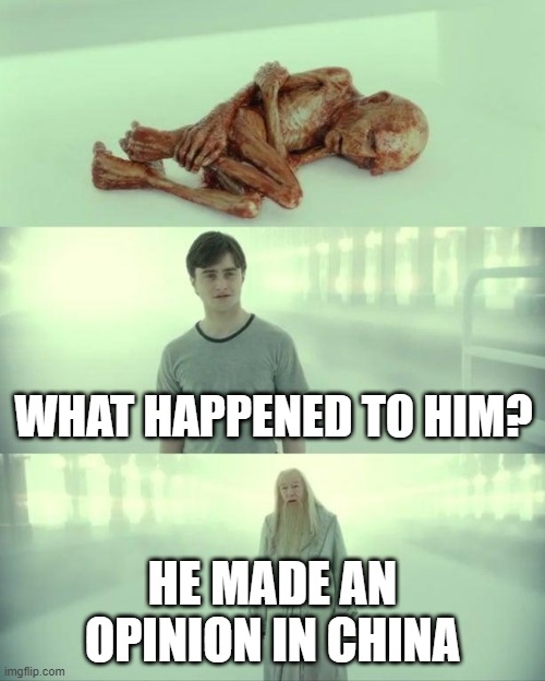 He made an opinion | WHAT HAPPENED TO HIM? HE MADE AN OPINION IN CHINA | image tagged in dead baby voldemort / what happened to him | made w/ Imgflip meme maker