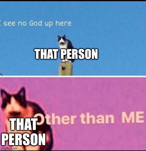 I see no god up here other than me | THAT PERSON THAT PERSON | image tagged in i see no god up here other than me | made w/ Imgflip meme maker
