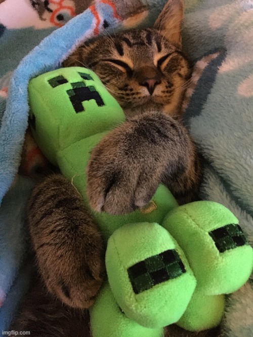 Cat hugging creeper | image tagged in cat hugging creeper | made w/ Imgflip meme maker