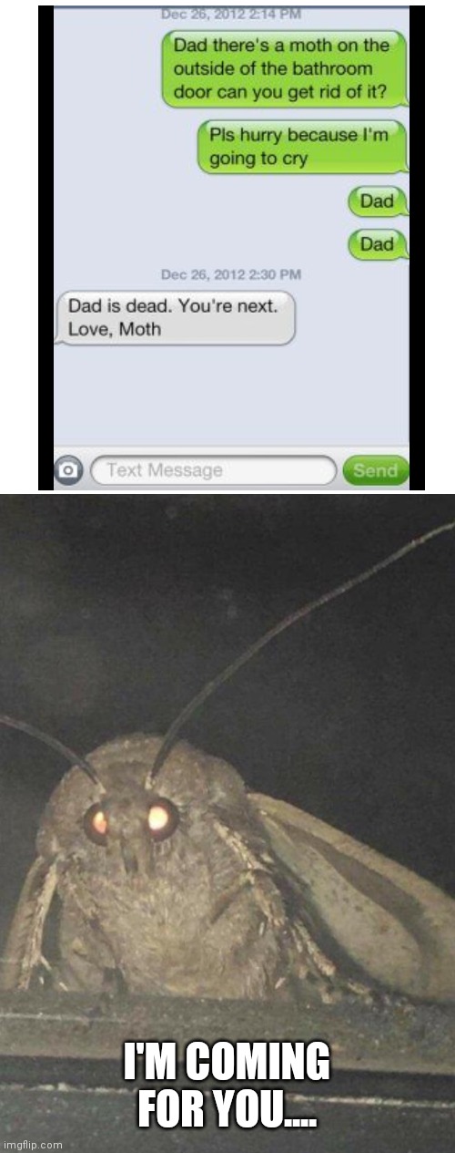 Moth | I'M COMING FOR YOU.... | image tagged in moth,text messages,oh wow are you actually reading these tags,memes,funny | made w/ Imgflip meme maker