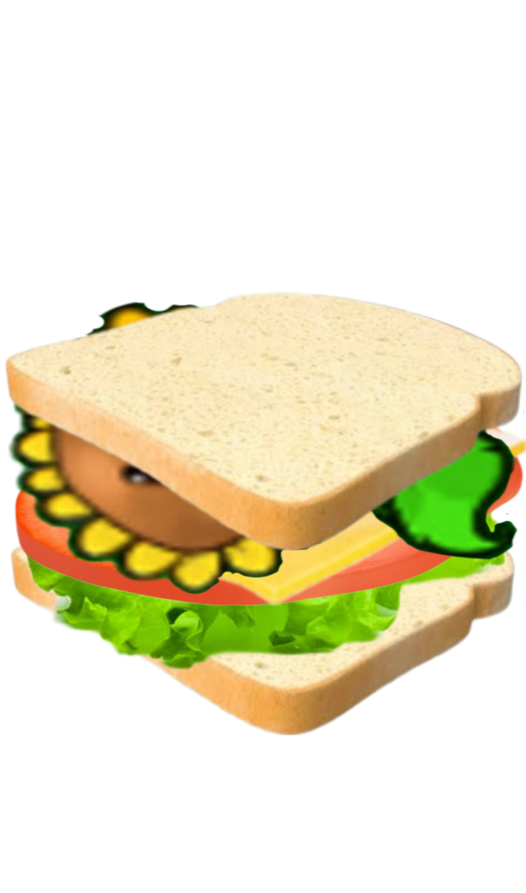 Sunflower sandwich Blank Meme Template