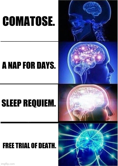 Expanding Brain Meme | COMATOSE. A NAP FOR DAYS. SLEEP REQUIEM. FREE TRIAL OF DEATH. | image tagged in memes,expanding brain,sleeping | made w/ Imgflip meme maker