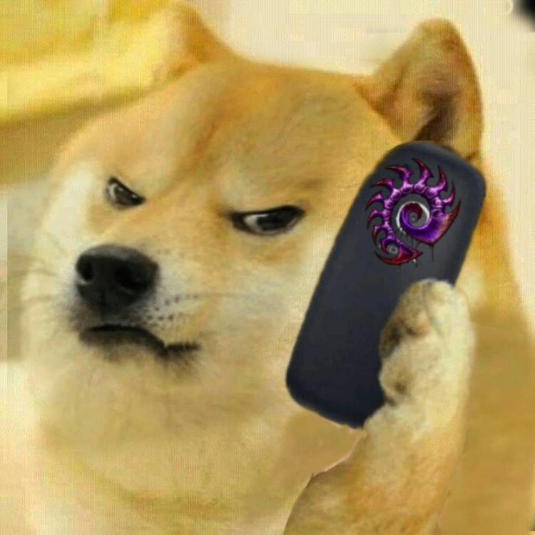 High Quality Doge On Phone Blank Meme Template