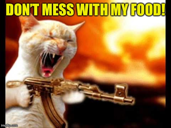 cat with gun | DON’T MESS WITH MY FOOD! | image tagged in cat with gun | made w/ Imgflip meme maker