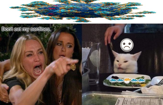 Woman Yelling At Cat | ☹; Don't eat my sardines. 🐟🐟🐡🐟🐟 | image tagged in memes,woman yelling at cat,fishing | made w/ Imgflip meme maker