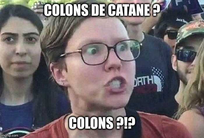 Triggered Liberal | COLONS DE CATANE ? COLONS ?!? | image tagged in triggered liberal | made w/ Imgflip meme maker
