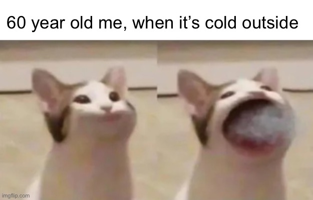 60 year old me, when it’s cold outside | made w/ Imgflip meme maker