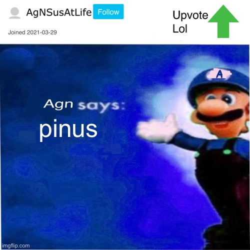 br | pinus | image tagged in agn s message | made w/ Imgflip meme maker