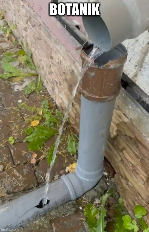 Broken but working pipe | BOTANIK | image tagged in broken but working pipe | made w/ Imgflip meme maker