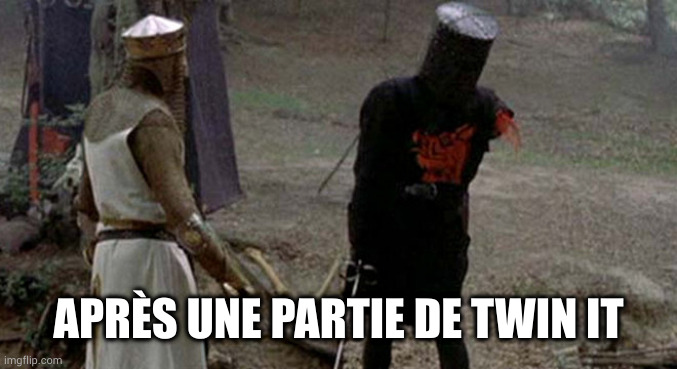 Tis but a scratch | APRÈS UNE PARTIE DE TWIN IT | image tagged in tis but a scratch | made w/ Imgflip meme maker