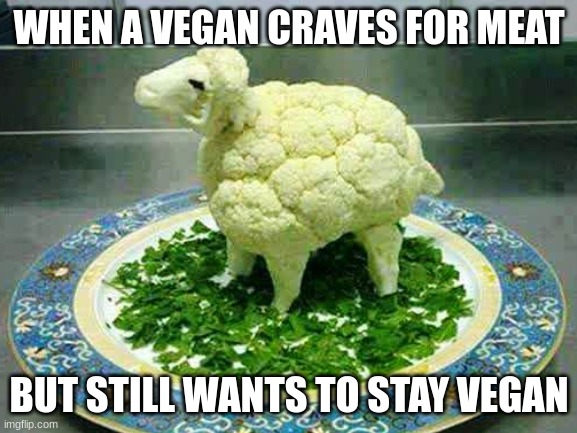 Infinite IQ | WHEN A VEGAN CRAVES FOR MEAT; BUT STILL WANTS TO STAY VEGAN | image tagged in funny,yeah this is big brain time | made w/ Imgflip meme maker