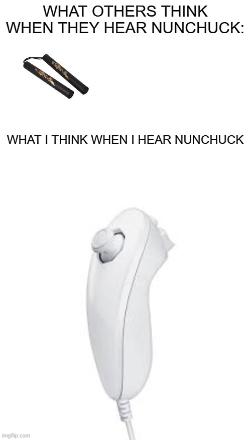 is it just me? | WHAT OTHERS THINK WHEN THEY HEAR NUNCHUCK:; WHAT I THINK WHEN I HEAR NUNCHUCK | image tagged in blank white template | made w/ Imgflip meme maker