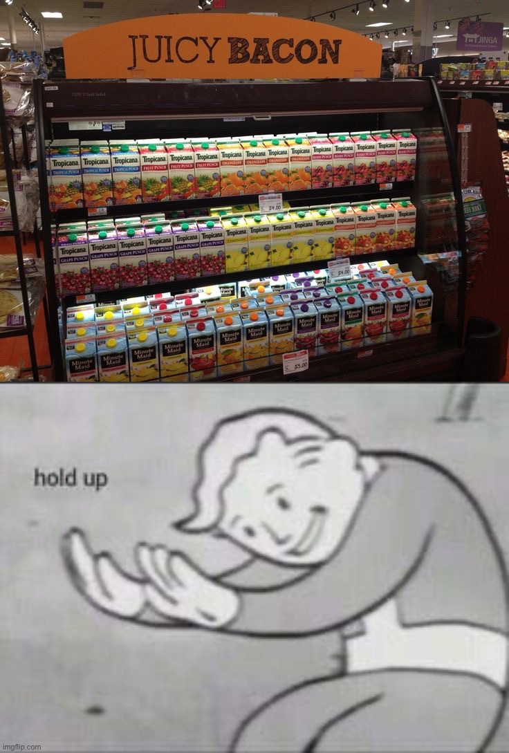 Excuse me what | image tagged in fallout hold up,memes,funny,you had one job,lmao | made w/ Imgflip meme maker