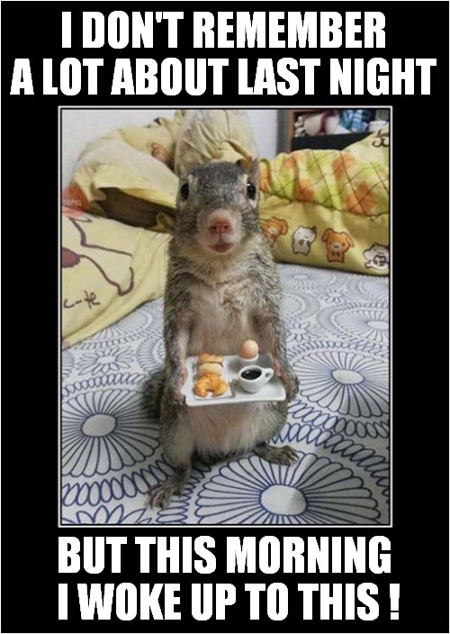 I Think I'm Still Hallucinating ! | I DON'T REMEMBER A LOT ABOUT LAST NIGHT; BUT THIS MORNING  I WOKE UP TO THIS ! | image tagged in hallucinate,side effects,squirrel,breakfast | made w/ Imgflip meme maker