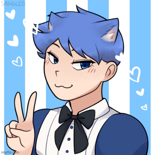 Catboy poke | image tagged in why do i do this im not even a femboy | made w/ Imgflip meme maker