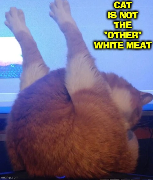 #69: optical illusions that turn out unpleasant upon closer focus | CAT IS NOT THE "OTHER" WHITE MEAT | image tagged in vince vance,optical illusion,cats,memes,roasted turkey,the other white meat | made w/ Imgflip meme maker