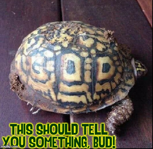 THIS SHOULD TELL YOU SOMETHING, BUD! | made w/ Imgflip meme maker