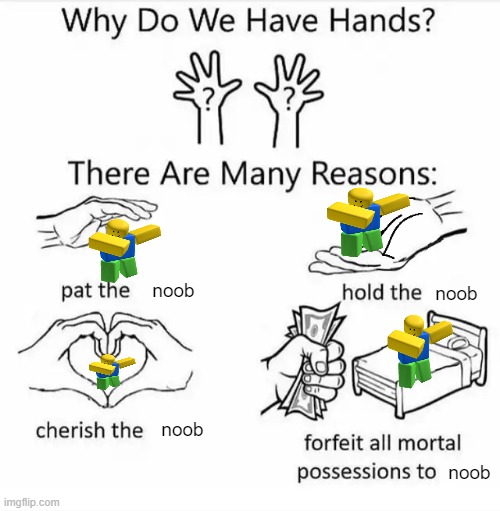 Why do we have hands? (all blank) | noob; noob; noob; noob | image tagged in why do we have hands all blank | made w/ Imgflip meme maker
