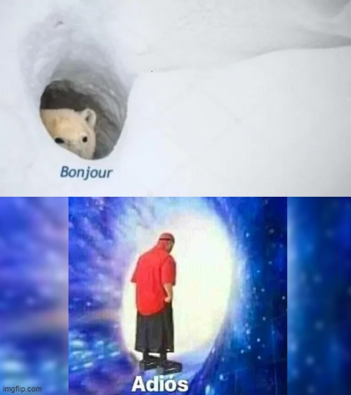 bonjur adios | image tagged in bonjur adios | made w/ Imgflip meme maker