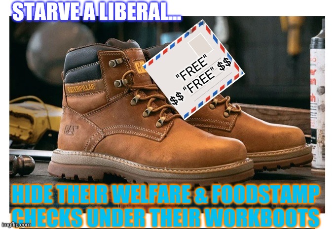Most of 'em never did one honest day's work in their lives | STARVE A LIBERAL... "FREE" $$ "FREE" $$; HIDE THEIR WELFARE & FOODSTAMP CHECKS UNDER THEIR WORKBOOTS | image tagged in dumbass,libtards,lazy fat guy on the couch,stupid liberals | made w/ Imgflip meme maker