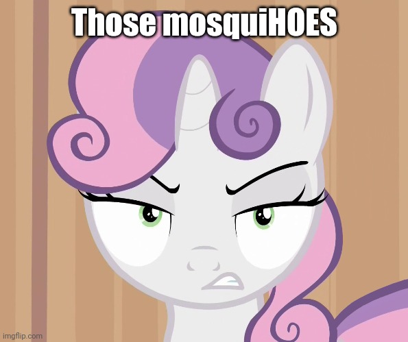 Those mosquiHOES | made w/ Imgflip meme maker