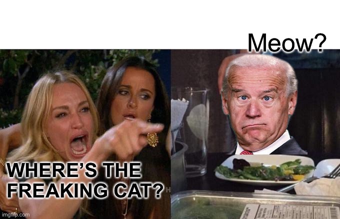 Woman Yelling At Cat Meme | Meow? WHERE’S THE FREAKING CAT? | image tagged in memes,woman yelling at cat | made w/ Imgflip meme maker