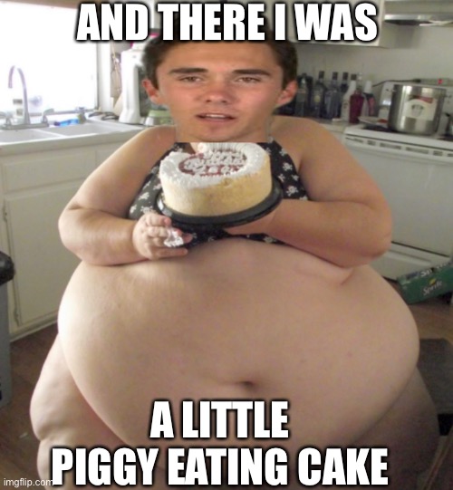 AND THERE I WAS; A LITTLE PIGGY EATING CAKE | image tagged in david hogg,fat,guns,gun control,2nd amendment | made w/ Imgflip meme maker