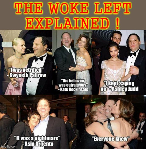 Woke - explained ! | THE WOKE LEFT
EXPLAINED ! | image tagged in lazy fat guy on the couch | made w/ Imgflip meme maker