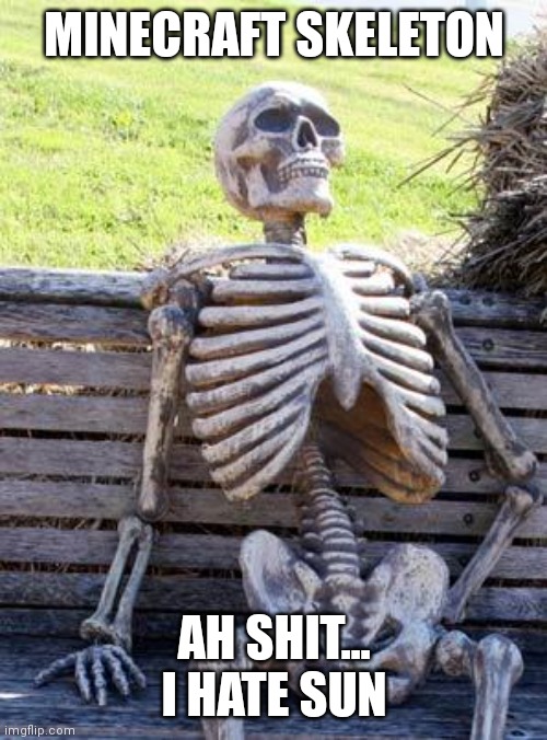 Waiting Skeleton | MINECRAFT SKELETON; AH SHIT... I HATE SUN | image tagged in memes,waiting skeleton | made w/ Imgflip meme maker