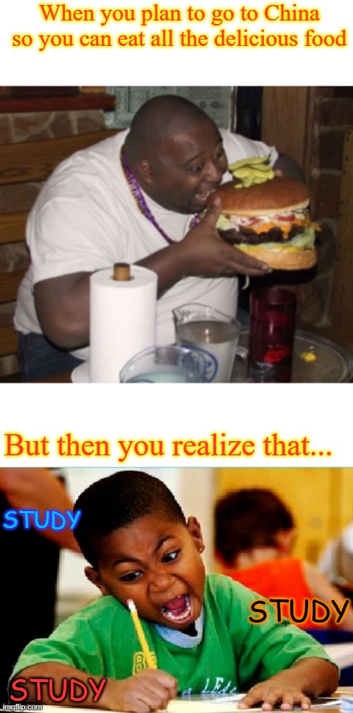 So true | When you plan to go to China so you can eat all the delicious food; But then you realize that... STUDY; STUDY; STUDY | image tagged in blank white template,fat guy eating burger,funny kid testing,china,chinese food | made w/ Imgflip meme maker
