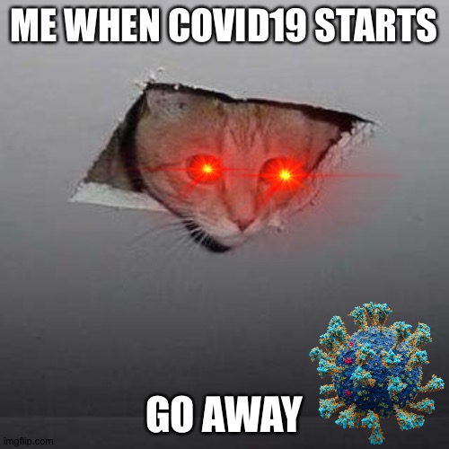 No Covid | ME WHEN COVID19 STARTS; GO AWAY | image tagged in memes,ceiling cat,covid-19 | made w/ Imgflip meme maker
