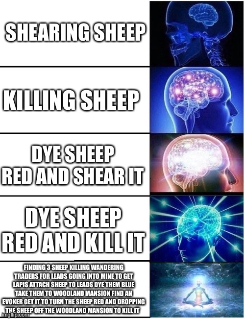 Expanding Brain 5 Panel | SHEARING SHEEP; KILLING SHEEP; DYE SHEEP RED AND SHEAR IT; DYE SHEEP RED AND KILL IT; FINDING 3 SHEEP KILLING WANDERING TRADERS FOR LEADS GOING INTO MINE TO GET LAPIS ATTACH SHEEP TO LEADS DYE THEM BLUE TAKE THEM TO WOODLAND MANSION FIND AN EVOKER GET IT TO TURN THE SHEEP RED AND DROPPING THE SHEEP OFF THE WOODLAND MANSION TO KILL IT | image tagged in expanding brain 5 panel | made w/ Imgflip meme maker