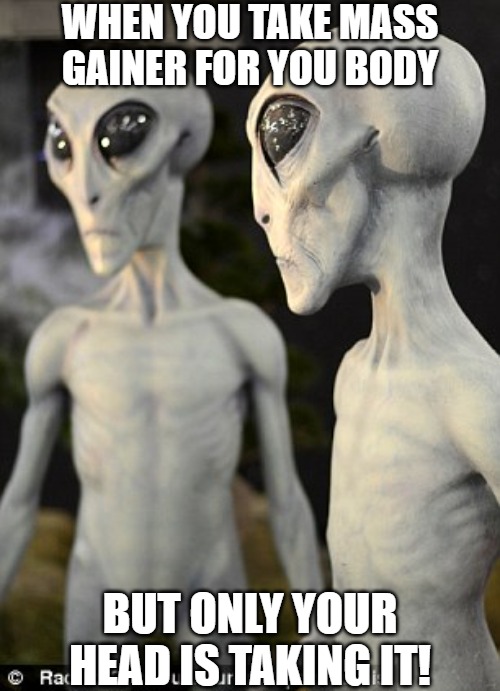 reverse | WHEN YOU TAKE MASS GAINER FOR YOU BODY; BUT ONLY YOUR HEAD IS TAKING IT! | image tagged in alien conversation | made w/ Imgflip meme maker