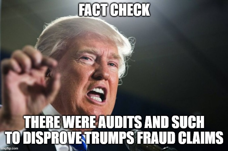 From what I heard there has been none | FACT CHECK; THERE WERE AUDITS AND SUCH TO DISPROVE TRUMPS FRAUD CLAIMS | image tagged in donald trump,funny man | made w/ Imgflip meme maker