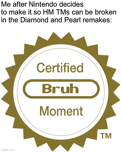 Bruh | Me after Nintendo decides to make it so HM TMs can be broken in the Diamond and Pearl remakes: | image tagged in certified bruh moment | made w/ Imgflip meme maker