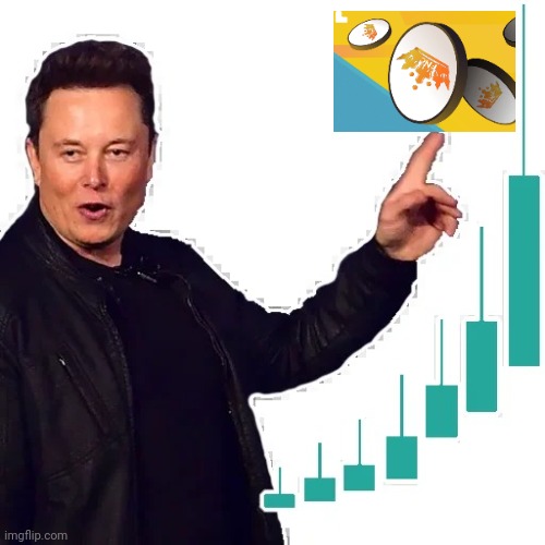 Elon | image tagged in elon | made w/ Imgflip meme maker