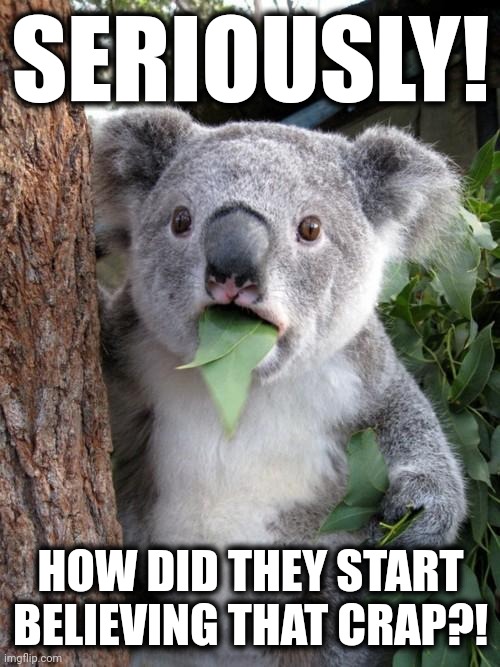 Surprised Koala Meme | SERIOUSLY! HOW DID THEY START BELIEVING THAT CRAP?! | image tagged in memes,surprised koala | made w/ Imgflip meme maker