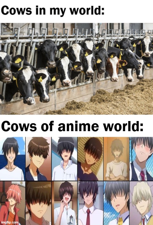 ngl :) | Cows of anime world: | image tagged in hentai,gifs,unfunny,memes | made w/ Imgflip meme maker